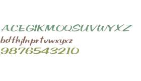 SeldaneScript Italic