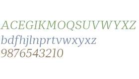 Mediator Serif Web Light Italic