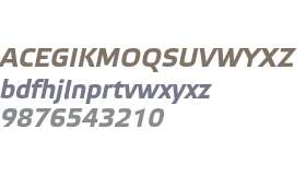 Elektra Text Pro Bold Italic