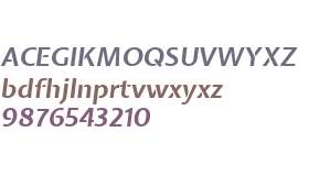 Expletus Sans Bold Italic