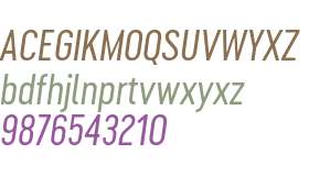 Cervino Medium Neue Italic