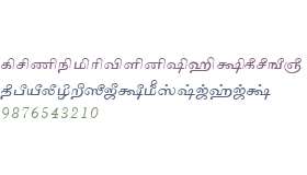 Tam_Shakti_9