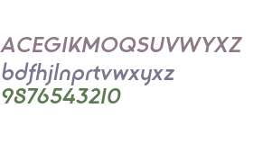 Trakya-Sans-Alt-700-Medium-Italic