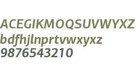 PF Centro Sans W01 Bold Italic