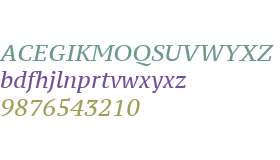 PT Serif W01 Caption Italic