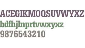 Serifa Condensed W00 Medium