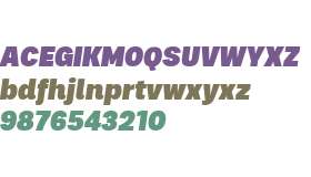 Palo-BlackItalic