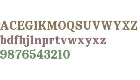 Copyright Bolditalic Studio Dentegra Text Bd Trial