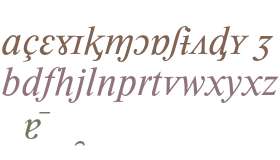 Times New Roman* MONOTYPE Phonetics Medium Italic