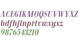 Jeles W01 Bold Italic