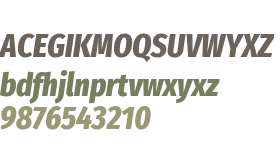 Fira Sans Extra Condensed ExtraBold Italic