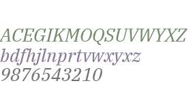 IBM Plex Serif Italic