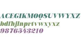 Royalis Test Bold Oblique