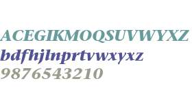 Stone Serif Bold Italic