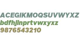 FF Infra Black Italic