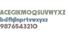 Parafina Trial Black L