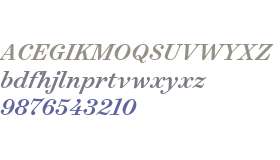Surveyor Text Medium Italic