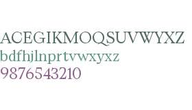 Eyes for Serifs Book