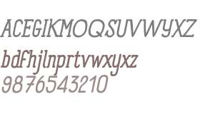 Panforte Serif W03 Italic