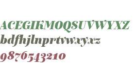 Exquise FY W01 Black Italic