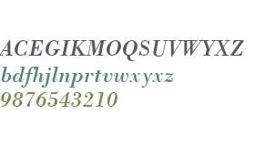 Bodoni BT W01 Italic