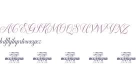 Kingsguard Calligraphy PERSONA