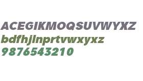 Glamure Black Italic