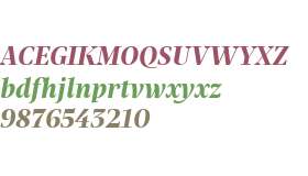 Praho Pro Test Bold Italic