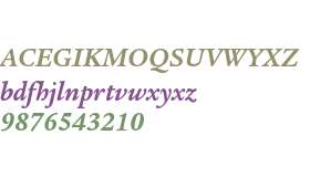 Legacy Serif ITC Std Bold Italic