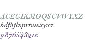 Acanthus Text OT W03 Italic
