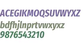 Fira Sans Extra Condensed Bold Italic