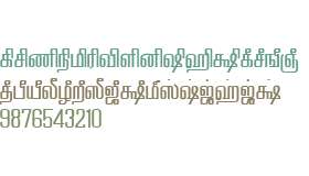 TAM-Tamil065