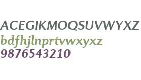 Diverda Sans W01 Bold Italic