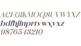Megasta Signateria Serif Italic