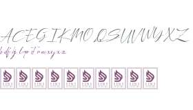 Dengacho Signature