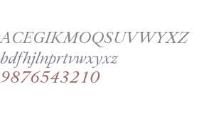 Allrounder Antiqua Test Italic
