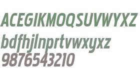 Pakenham Cnd Bold Italic