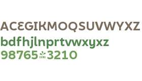 FSP DEMO - Brocha Alt Bold