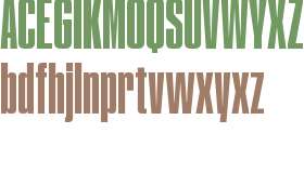 Correct Trial XXXX Cond Black