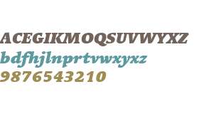Linotype Syntax Serif W01 Bk It