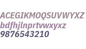 IBM Plex Sans Condensed Bold Italic