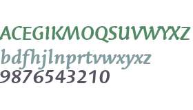 Linotype Syntax Letter W01 BdIt