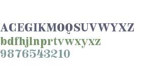 Royalis Text Test Medium