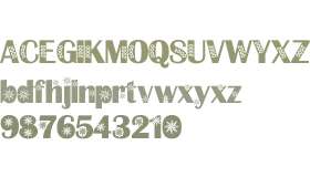 NewFont V9