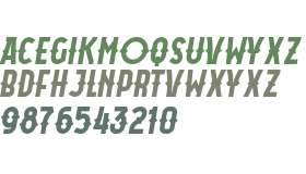 Akira Jimbo V2 West Italic