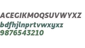 Rehn W03 ExtraBold Italic