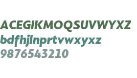 Compasso Test Black Italic