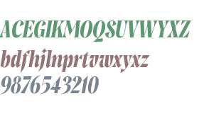 Mirtha Display Trial Bold