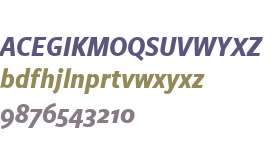 FreightSansCnd W03 Bold Italic