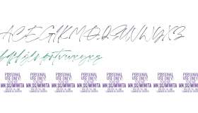 Monita Signature PERSONAL USE Regular Italic